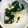クックFA8SEU☆'s cooksnap of when they made あともう一品。簡単、小松菜と油揚げの煮物.