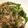 クック3HWKL2☆'s cooksnap of when they made 薬味てんこ盛りの冷奴.