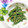 ❀あおい❀'s cooksnap of when they made いんげんのごま和え.