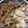 クックGQWFSW☆'s cooksnap of when they made 肉豆腐.