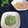 つちかな's cooksnap of when they made 離乳食初期♡さつまいもと小松菜のペースト.