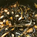 Ken-Z's cooksnap of when they made ひじきの煮物.