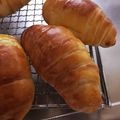 kamenaママ's cooksnap of when they made 基本のパン生地(スキムミルクVer).