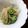 こっぺりあ's cooksnap of when they made もやし＠オクラのナムル.