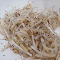 ユカtoマオマオ's cooksnap of when they made もやし&ササミの胡麻ゆかりナムル.