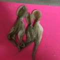 いちごみるく氷's cooksnap of when they made 【下処理】イイダコ.