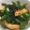 もきもんきー's cooksnap of when they made ピーマンとエリンギのコク旨オイスター炒め.