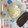 いたずらコリラックマ's cooksnap of when they made 梨の保存方法.