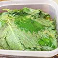 卵せんべい's cooksnap of when they made 大葉の簡単浅漬け.