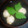 mzhroom's cooksnap of when they made さんまでつみれ汁.