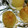 芝政の世界's cooksnap of when they made 丸ごと玉ねぎのオーブン焼き.