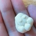 あやプラス's cooksnap of when they made 赤ちゃんにっこり♡たまごボーロ.