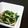 クックMPJWEV☆'s cooksnap of when they made にらとみょうがピリ辛✪ミソ醤油和え.