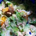 okomeokome's cooksnap of when they made ゴーヤとちくわの和風ツナサラダ.