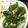 卵せんべい's cooksnap of when they made ピーマンの塩昆布炒め.