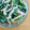 シナモシナモ's cooksnap of when they made パパッと！ほうれん草とハムのマヨ和え.