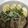 クック4L8UHQ☆'s cooksnap of when they made 作り置き♪ストウブで、煮豚♪.