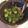 クック1IJLKT☆'s cooksnap of when they made オクラのおひたし.