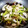 nao9090's cooksnap of when they made 茄子とししとうの炒め煮.
