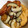 たぬとん's cooksnap of when they made がんもどきと椎茸の煮物.