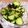 スヴィー♪'s cooksnap of when they made 我が家のやみつきハリハリきゅうり♪早い！.
