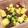 もえぴ☆ミ's cooksnap of when they made 10分で後一品＊たこと長芋のバター醤油.
