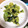 takaiku's cooksnap of when they made 絶品 アボカドときゅうりの海苔わさび和え.