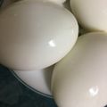 imsatomi's cooksnap of when they made 簡単！綺麗！ゆで卵の剥き方.