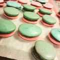 クックA9CO6F☆'s cooksnap of when they made 初心者でも簡単！マカロン.