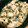 emily1022's cooksnap of when they made 鶏肉とネギとパクチーの塩レモン炒め.