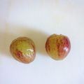 ぽちこ（マイ）'s cooksnap of when they made 意外に知らなかった？！ぶどうの皮の剥き方.
