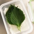 夫婦で食費は月2万☆'s cooksnap of when they made ☆簡単保存☆ 大葉の傷みにくい保存方法.