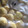 あやねるねるねるね's cooksnap of when they made 生でいいんです！栗の冷凍保存法.