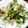 クックVOY1Q3☆'s cooksnap of when they made たっぷり玉ねぎとアボカドのサラダ.