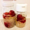 のらむーちょ's cooksnap of when they made すもも酢.