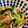 ｍｉｚｍｏｍｏ's cooksnap of when they made 青梗菜とお揚げのゴマ風味炒め.