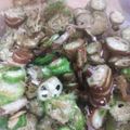 ふぁんたにゃん's cooksnap of when they made オクラは生で食らうべし！生オクラの和え物.