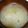 クック5TURZ2☆'s cooksnap of when they made シャキシャキ☆アルファルファのお味噌汁.