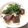 azbjbn's cooksnap of when they made かつおの漬け丼.