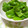 ともこキッチン's cooksnap of when they made シンプル!おつまみ!ししとう柚子胡椒和え.