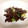 ぽぽぽんきち's cooksnap of when they made 簡単♪きゅうりと牛肉の炒めもの.