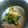 にゃにゃにゃにゃい's cooksnap of when they made ししとうのメープルごま味噌和え.