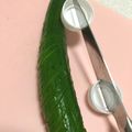 shirolulu's cooksnap of when they made 『蛇腹きゅうり』のお助けマン.