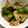 あぽろ．'s cooksnap of when they made オクラとおあげの煮びたし.