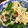 卵せんべい's cooksnap of when they made 絶対おいしい！ピーマンと切干大根の梅和え.