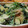 くっくのん's cooksnap of when they made ほうれん草ときゅうりのマヨごま和え.