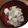 ななお_k's cooksnap of when they made 白菜大量消費！鶏ももと白菜の炊いたん.