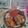 Dream♪'s cooksnap of when they made あっという間に鶏ハムができちゃう♪.