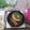 Dream♪'s cooksnap of when they made チキンバーグ.