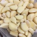 maomom0821's cooksnap of when they made 簡単☆つるんとにんにくの皮むき！.